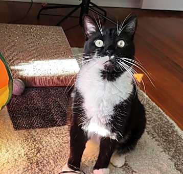Photo of Dunkin