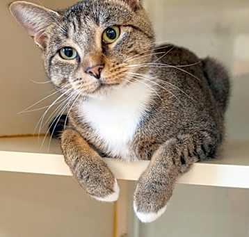 Photo of SANDY