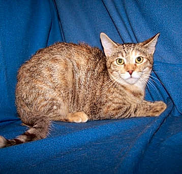 Photo of K-Helga-Helen