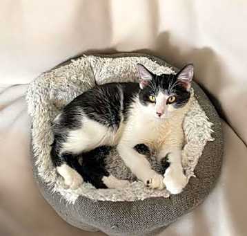 Photo of Willy