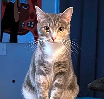 Photo of Eloise