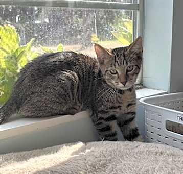 Photo of Keebler