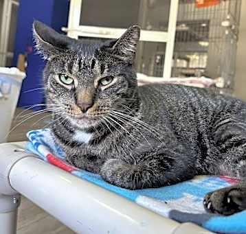 Photo of Ernie