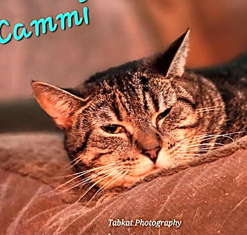 Photo of Cammi