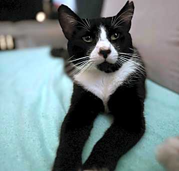 Photo of Krusty