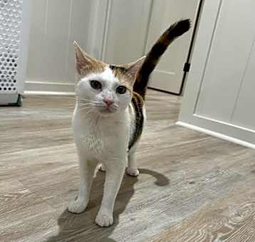 Photo of Tiny