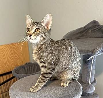 Photo of Harley-(foster-Bruce)