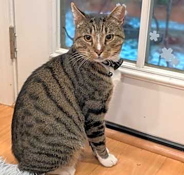 Photo of Charlie