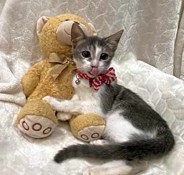 Photo of Kira