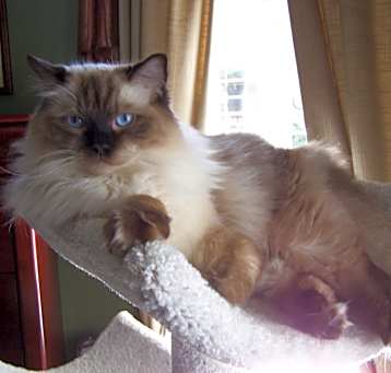 Photo of Frazier