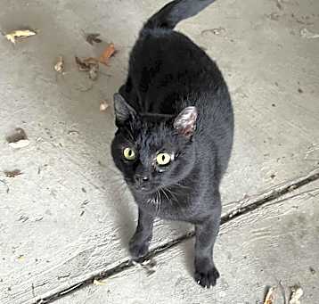 Photo of Teddy