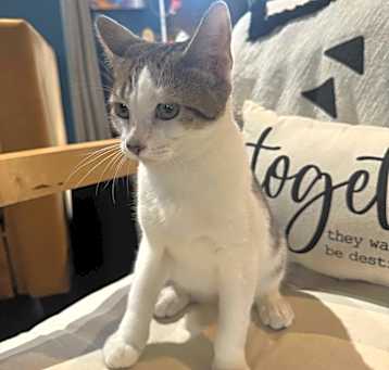 Photo of Snicker