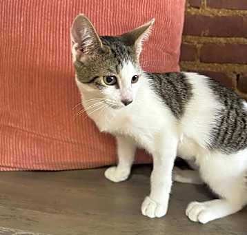 Photo of Kit