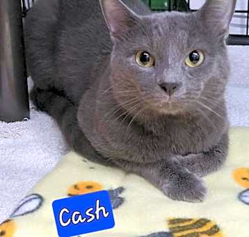 Photo of Cash