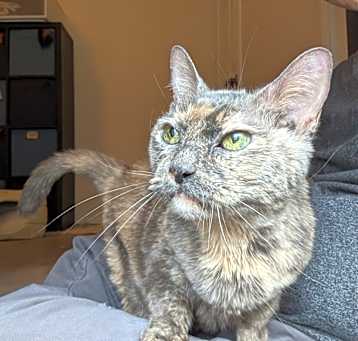 Photo of Lucy