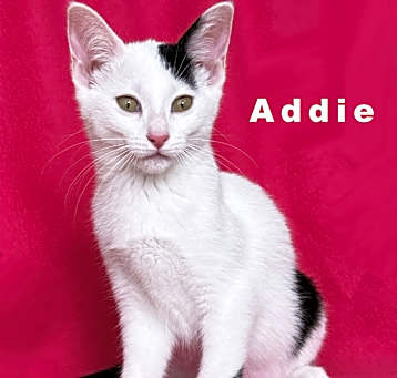 Photo of Addie