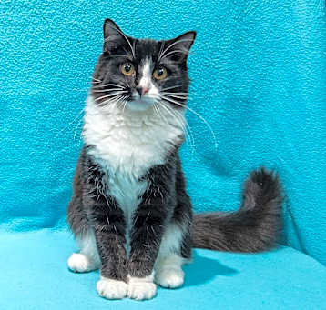 Photo of Holly