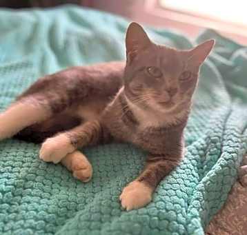 Photo of Oscar