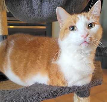 Photo of Stanley