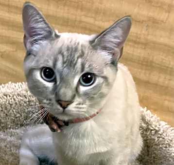 Photo of Cali