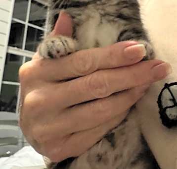 Photo of Leia