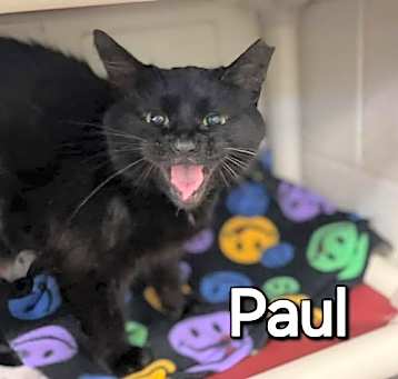 Photo of Paul