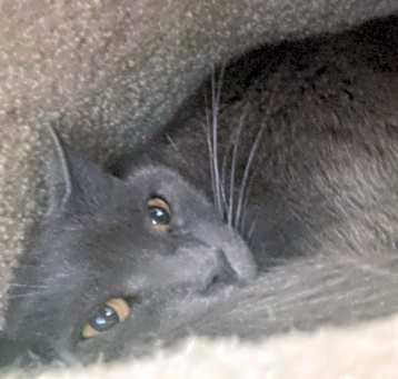 Photo of Anastasia