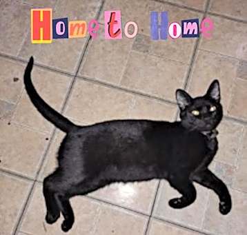 Photo of Willy