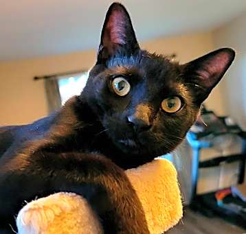 Photo of Benny