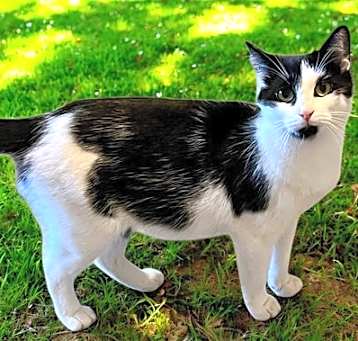 Photo of NALA