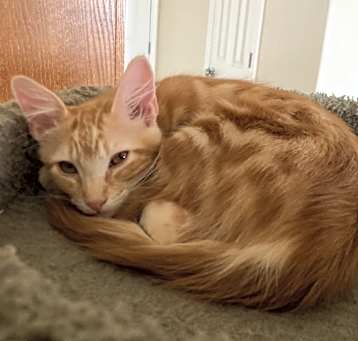 Photo of Bernard