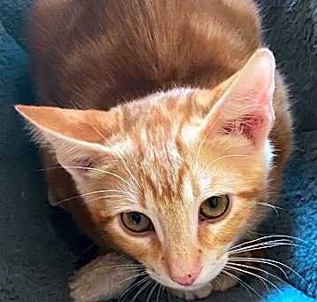 Photo of Duncan
