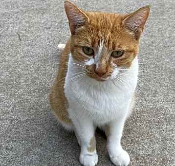 Photo of Candy