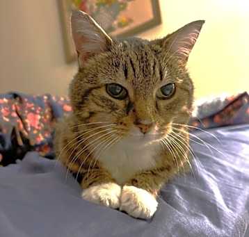 Photo of Boots