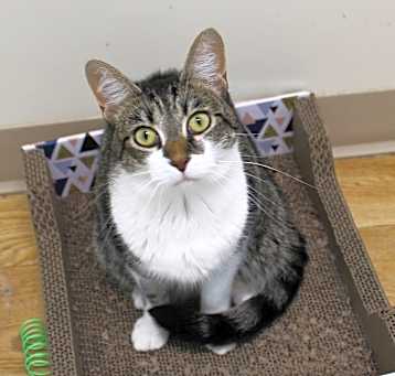 Photo of Ellie Mae