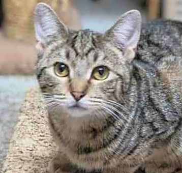 Photo of Hazel