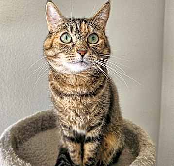 Photo of Bereet
