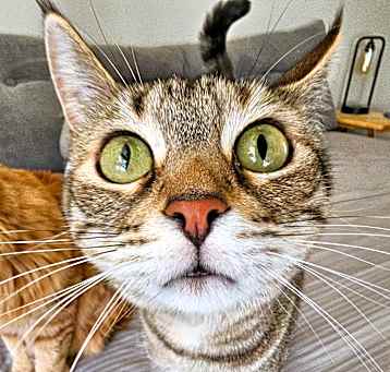 Photo of Jean Grey