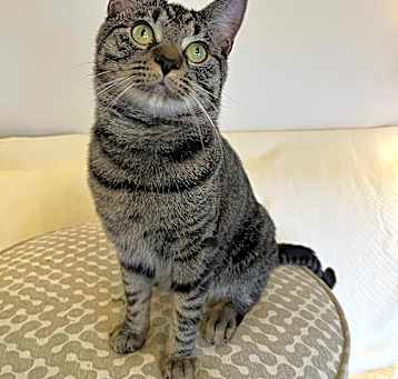 Photo of Murphy