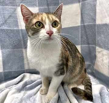 Photo of Cali