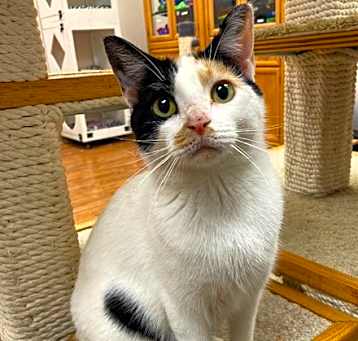Photo of Lucinda