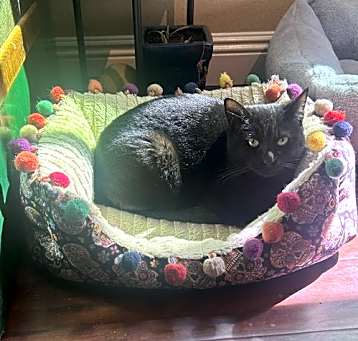 Photo of Mimi
