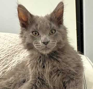 Photo of Thomas