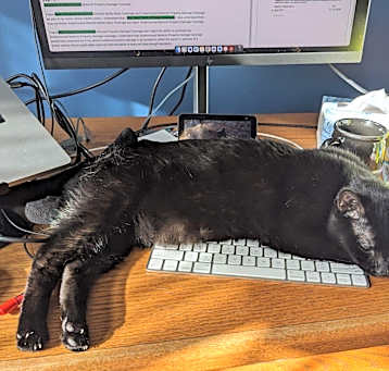 Photo of Agnes