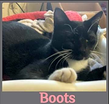 Photo of BOOTS