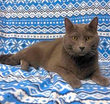 Photo of Cypress