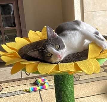 Photo of Ava