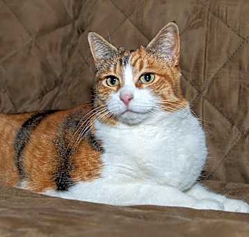 Photo of Cali