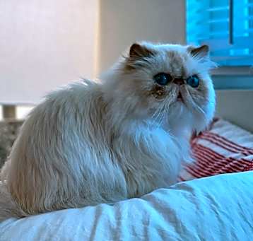 Photo of Duchess