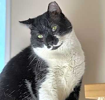 Photo of Fry (and Eleanor)